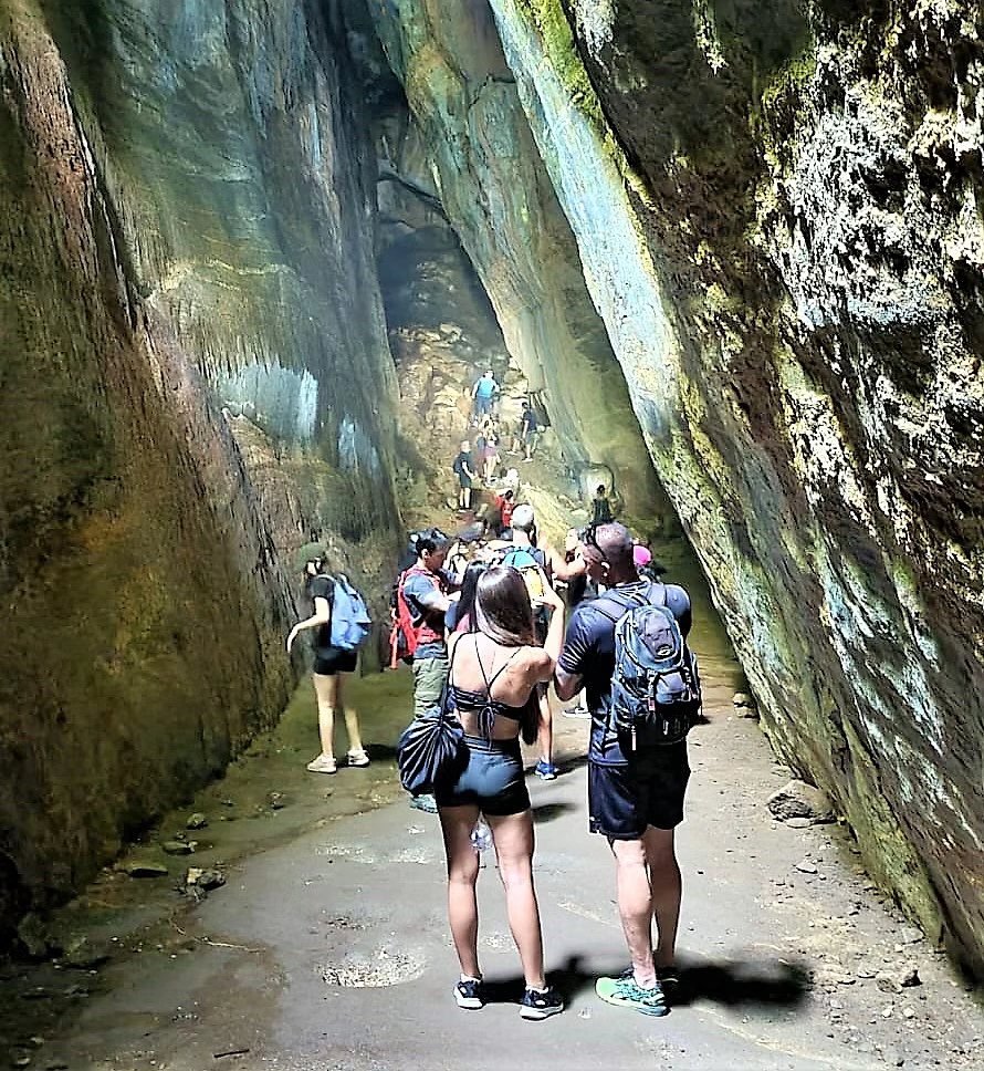 Tijuca Forest Caves and Falls Tour in Rio de Janeiro