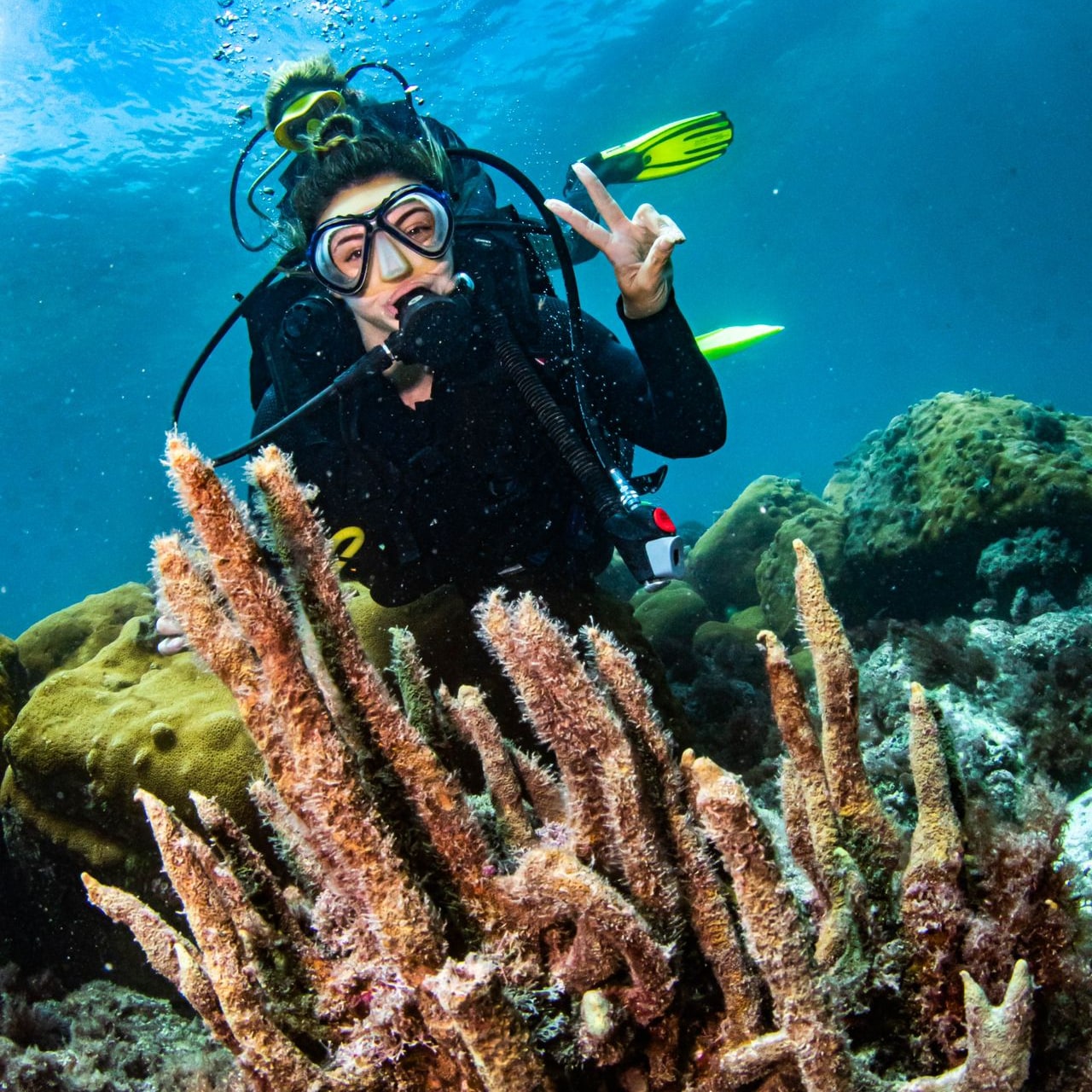 Scuba Diving Rio de Janeiro