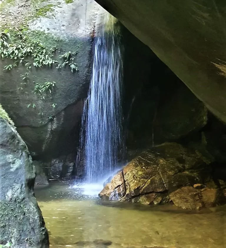 tijuca+forest+caves+and+falls+tour